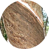 桌椅板材 桌椅板材